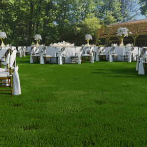 Brooklyn South Indoor And Outdoor Venue Space 1